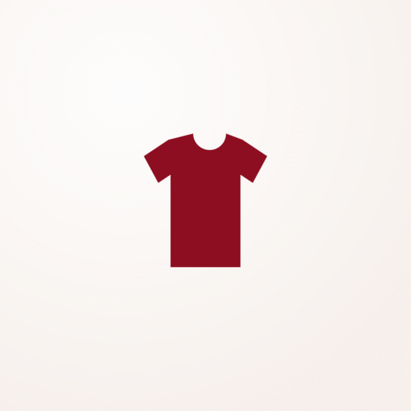 T-shirt "Winged Hussar"