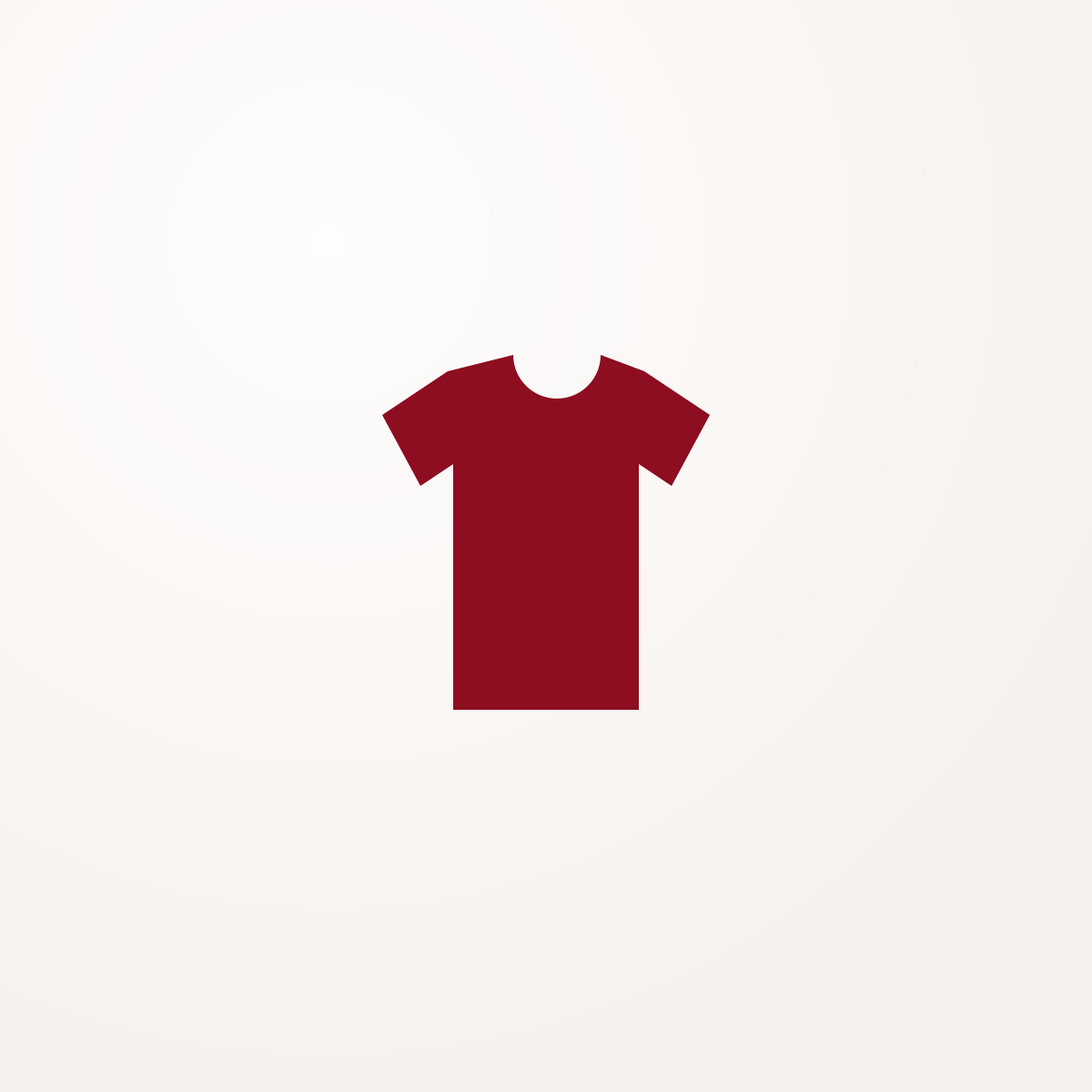 T-shirt „Winged Hussar”